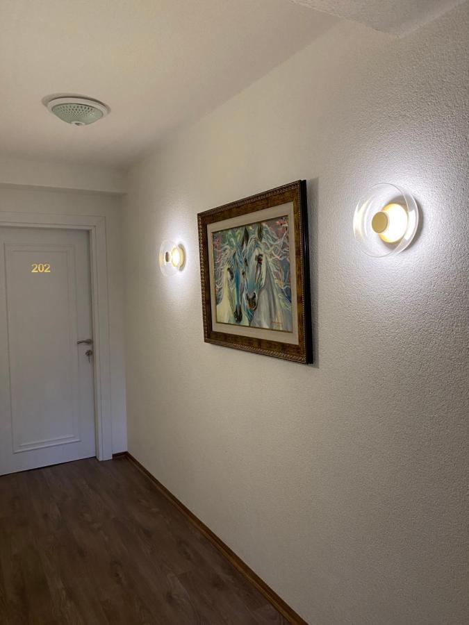 Hotel Neda Galichnik Galicnik Zewnętrze zdjęcie
